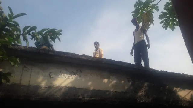 ପଲିଥିନ୍ କାରବାର ଉପରେ ଚଢ଼ଉ; ୨୭ ହଜାର ଟଙ୍କା ଜରିମାନା ଆଦାୟ