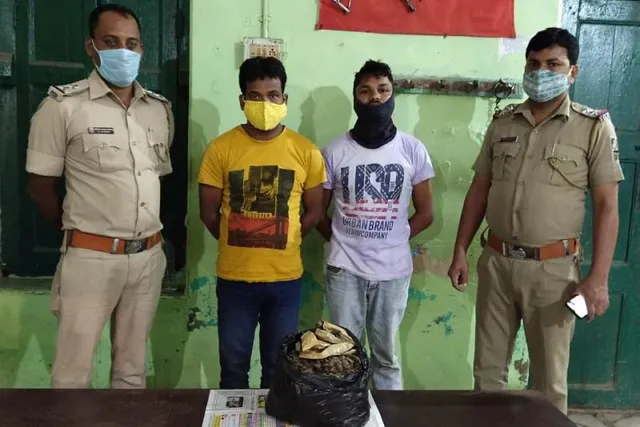 ଗଞ୍ଜେଇ ଚୋରା କାରବାର ଅଭିଯୋଗରେ ୨ ଗିରଫ, ୨.୯୦୦ କିଲୋଗ୍ରାମ ଗଞ୍ଜେଇ ଜବତ