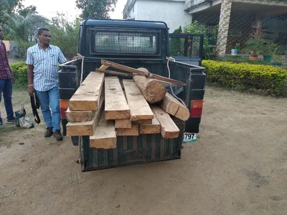 ୫୦ ହଜାର ଟଙ୍କା ମୂଲ୍ୟର ଶାଗୁଆନ କାଠ ଜବତ, ଜଣଙ୍କୁ ଗିରଫ କଲା ବନ ବିଭାଗ
