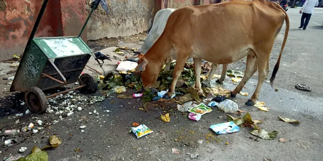 ରାସ୍ତାକଡ଼ ଆର୍ବଜନା ଉଠାଇବା ପାଇଁ ନିଅଣ୍ଟ ପଡୁଛି ଗାଡ଼ି