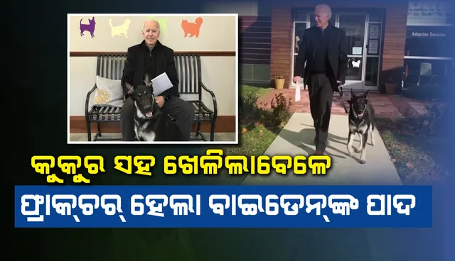 କୁକୁର ସହ ଖେଳିଲା ବେଳେ ବାଇଡେନ୍‌ଙ୍କ ଗୋଡ଼ ମୋଡ଼ି ହୋଇ ଫାଟି ଯାଇଛି ହାଡ଼