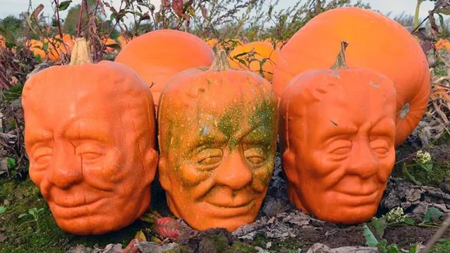 ଫ୍ରାଙ୍କେନ୍‌ଷ୍ଟାଇନ୍‌ କଖାରୁ!