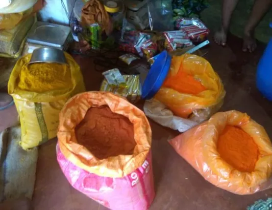 ଭଦୀମୂଳରେ ବେଆଇନ ମସଲା କାରଖାନା ଠାବ, ମାଲିକ ଗିରଫ