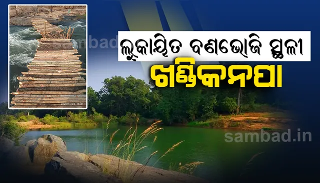 ବାଘନଦୀ ଉପରେ କାଠପୋଲ ନିର୍ମାଣ କଲେ ଶ୍ରଦ୍ଧାଳୁ, ଗୁପ୍ତେଶ୍ୱର ମହାଦେବଙ୍କ ପୀଠକୁ ଯାତାୟାତ ହେଲା ସହଜ