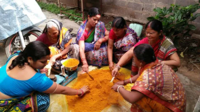 ଋଣ ଟଙ୍କାରେ ଏସ୍‌ଏଚ୍‌ଜି ମହାଜନୀ କାରବାର କରୁଛନ୍ତି