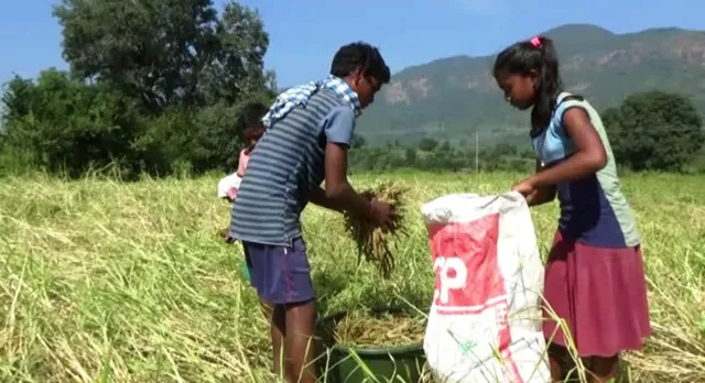 ଅନଲାଇନ୍ ପାଠପଢ଼ା ପାଇଁ ନାହିଁ ମୋବାଇଲ୍  : କିଣିବାକୁ ବିଲରେ ମୂଲ ଲାଗିଲେ ଦୁଇ ଛାତ୍ରଛାତ୍ରୀ