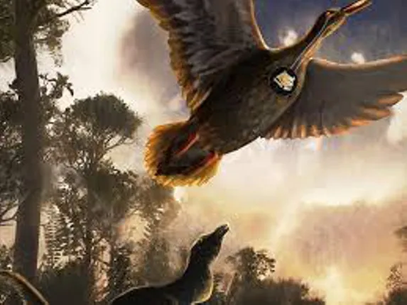 ଛଅ କୋଟି ବର୍ଷ ପୁରୁଣା ପକ୍ଷୀର ଫସିଲ ବିଶାଳ ‘ପେଲାଗୋର୍ନିଥିଡ୍‍’