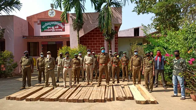 ନବରଙ୍ଗପୁର : ଡାବୁଗାଁ ବନ ବିଭାଗ ଦ୍ବାରା ବିପୁଳ ପରିମାଣର ଶାଳ କାଠ ଜବତ