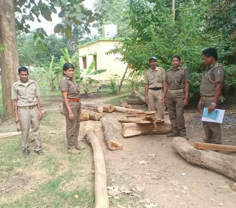 ବନ ବିଭାଗର ଚଢ଼ାଉ; ୭୯ ଘନଫୁଟ କାଠ ଜବତ