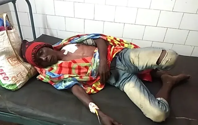 ଭାଲୁ ଆକ୍ରମଣରେ ଜଣେ ଗୁରୁତର