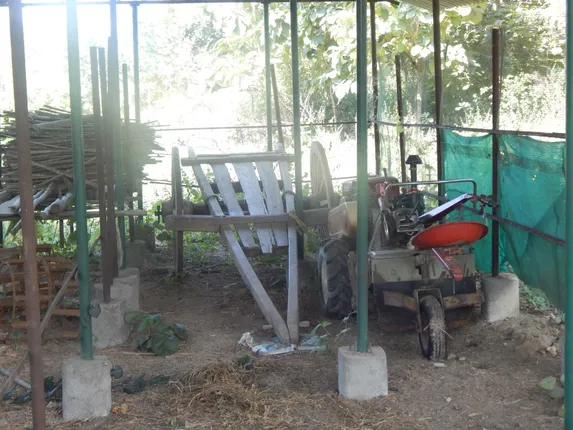 ଦେଓଗାଁ ବ୍ଲକ୍‌ରେ ପିଆଜ ଚାଷ ବାଟବଣା: ୨ ବର୍ଷରେ ୧୩ ଜଣଙ୍କୁ ମିଳିଛି ପିଆଜ ଘର, ପିଆଜ ବଦଳରେ ରହୁଛି ଶଗଡ଼, ପାୱାର ଟିଲର୍‌