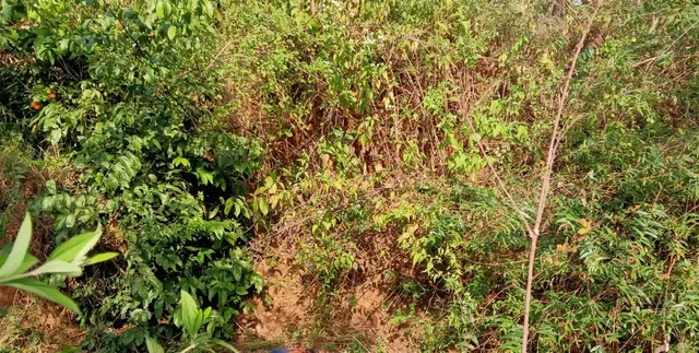 ଝରିଗାଁ : ଚିକିଲି ନଦୀ କଡ଼ରୁ ଯୁବକର ମୃତଦେହ ଉଦ୍ଧାର ,ହତ୍ୟା ସଂଦେହ