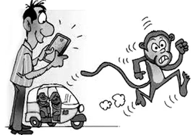 ମାଙ୍କଡ଼ ଗଣନା ଲାଗି ମୋବାଇଲ୍‌ ଆପ୍‌