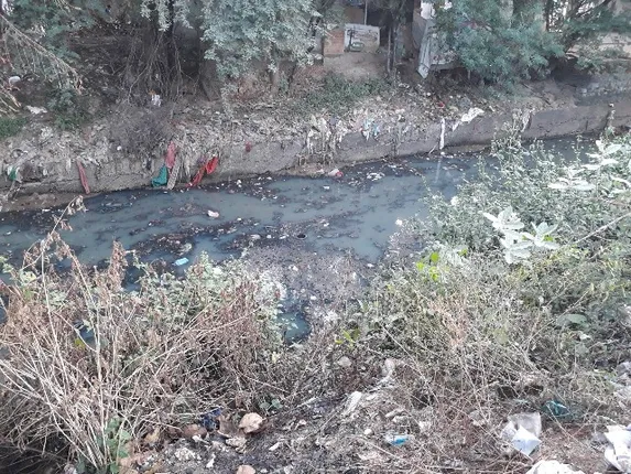 ବରଗଡ଼ : ବିଷାକ୍ତ ହେଉଛି ଜଳାଶୟ