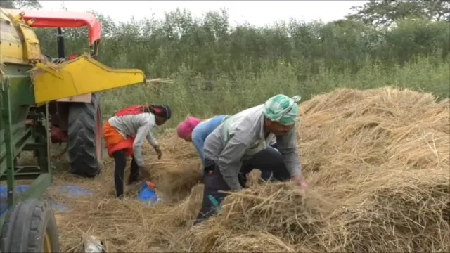 ଧାନ ମଣ୍ଡି ଖୋଲିବା ବିଳମ୍ବର ସୂଯୋଗ ଦେଇ ଦଲାଲ ଉଠାଉଛନ୍ତି ଫାଇଦା