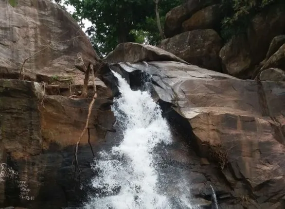 ଫୁର୍ଲିଝରଣ ଜଳପ୍ରପାତରେ ଡିଅର ପାର୍କ ଓ ଇକୋ କଟେଜ ପାଇଁ ବନ ବିଭାଗର ପ୍ରସ୍ତାବ