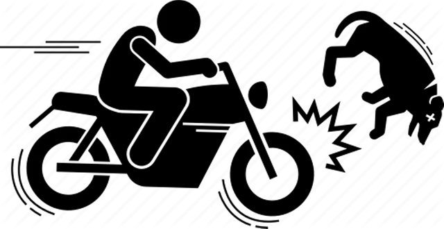 ବାଇକରେ ଯାଉଥିବା ସମୟରେ କୁକୁର ସହ ଧକ୍କା ହେବାରୁ ଘଟଣାସ୍ଥଳରେ ଯୁବକଙ୍କ ଉଡିଗଲା ପ୍ରାଣବାୟୁ