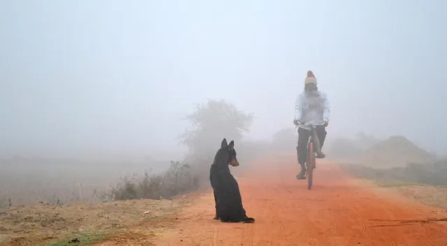 ଖସୁଛି ପାରଦ: ଜି. ଉଦୟଗିରିରେ ରାତିରେ ୧୧ ଡିଗ୍ରି