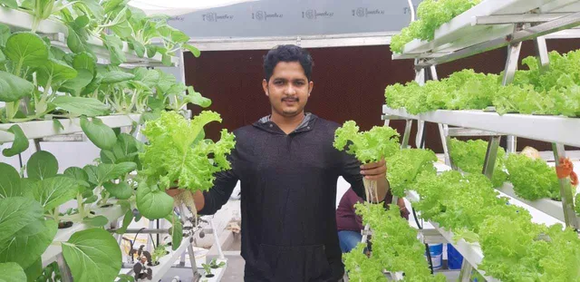 ଓଡ଼ିଶାରେ ପ୍ରଥମ : ବିନା ମାଟିରେ ଚାଷ