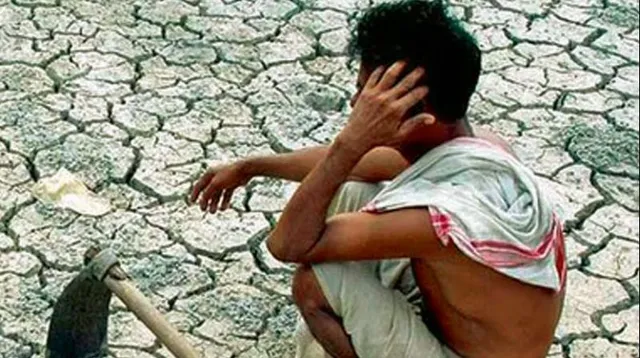 କାଲିମେଳା: ଧାନ କାଟୁ ଥିବାବେଳେ କାମୁଡ଼ିଦେଲା ସାପ, ଚାଷୀ ମୃତ