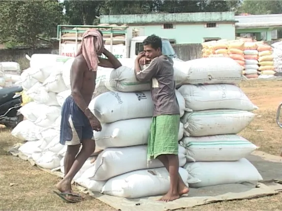 ୧୦୫୨ ଚାଷୀ ବିକି ପାରିବେନି ଧାନ : ଆରମ୍ଭ ହେଲାଣି ମଣ୍ଡି; ଶେଷ ହୋଇନି ଜମି ତନଖି, ଆସୁନି ଟୋକେନ୍