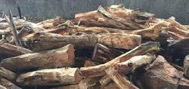 ଦୁଇ କାଠ ମାଫିଆ ଜେଲ୍ ଗଲେ