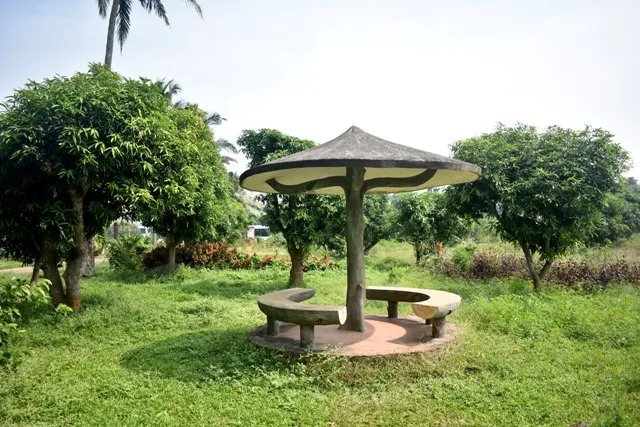 ବିଜୁ, ଜାନକୀଙ୍କ ସ୍ୱପ୍ନର ଫାର୍ମ ଉଜୁଡ଼ିବ!