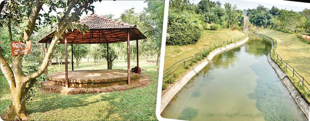 ବଣଭୋଜି ବାଟ ଓଗାଳିଛି କରୋନା