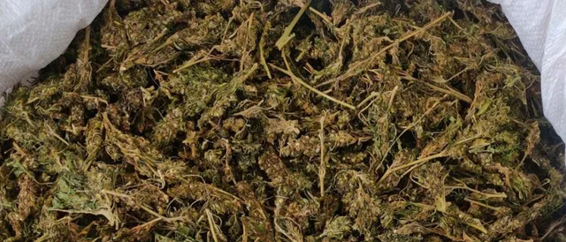 କପଡ଼ା ବ୍ୟବସାୟ ଆଳରେ ଚୋରା ବେପାର, ୧୦ କେଜି ଗଞ୍ଜେଇ ସହ ବାଇକ୍‌ ଜବତ, ୨ ଗିରଫ