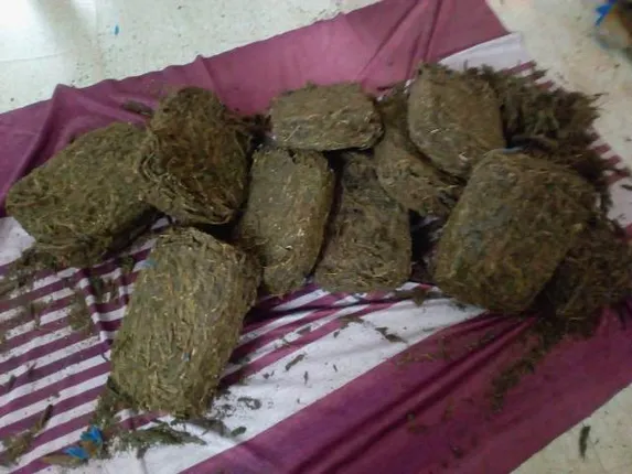 ସାକ୍ଷ୍ୟ ପ୍ରମାଣ ଦେଇ ନପାରିବାରୁ ୧୨୧୦ କିଲୋ ଗଞ୍ଜେଇ ଚାଲାଣ ମାମଲାରେ ଦୁଇ ଅଭି‌ଯୁକ୍ତ ନିର୍ଦ୍ଦୋଷରେ ଖଲାସ