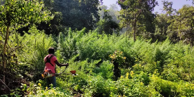 ମହଙ୍ଗା ପଡ଼ିଲା ଚୋରା ଗଞ୍ଜେଇ କାରବାର, ଆର୍‌ପିଏଫ୍‌ ଯବାନ ଚାକିରିରୁ ବିଦା