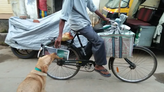 ‘ଗେଲୀ’ର ଚର୍ଚ୍ଚିତ କାରନାମା; ଔଷଧ ଦେଉଛି, ଖବର କାଗଜ ପାଇଁ ଜଗି ବସୁଛି