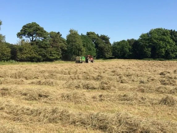 ଜମି ହଳ ହେଉଥିବା ସମୟରେ ବାହାରିଲା ସୁନା ଓ ରୁପା ମୁଦ୍ରା