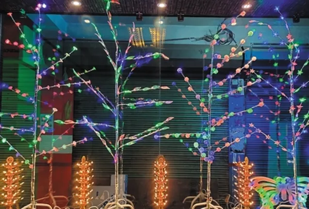 ଦୀପାବଳିରେ ମନ ମୋହିଲା ଇଲେକ୍ଟ୍ରିକ୍‌ ବାଣ; ବିନା ନିଆଁ ଓ ଧୂଆଁରେ ଫୁଟିଲା ଫୋଟକା