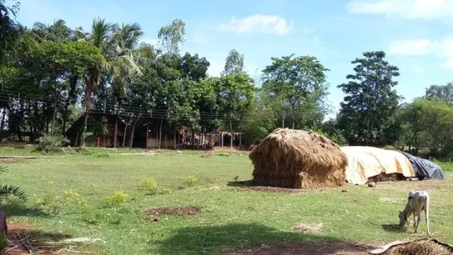 ଓଡ଼ିଶା ଗ୍ରାମ ଉପରେ ୩ ରାଜ୍ୟର ଆଖି