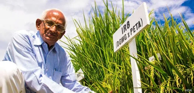 ଗୋଟିଏ ଚମତ୍କାରୀ ବିହନ