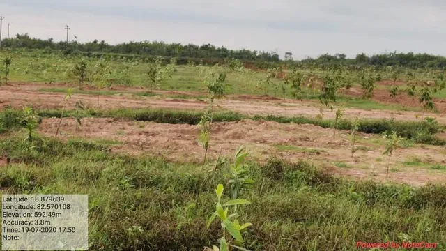 ସହରାଞ୍ଚଳ ବନୀକରଣ ଯୋଜନାରେ ଅରୋଗ୍ୟବନରେ ଲାଗିବ ୪୪୦୦ ବୃକ୍ଷ