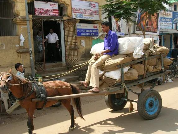 ଇତିହାସ ଗର୍ଭରେ ଲୀନ ହୋଇଗଲା ଘୋଡ଼ାଗାଡ଼ିରେ ଡାକ ମୁଣା ପରିବହନ; ଖତ ଖାଇଲାଣି ଗାଡି, ଜରାଜୀର୍ଣ୍ଣ ଅବସ୍ଥାରେ ଘୋଡା
