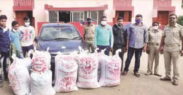 କୋରାପୁଟ ଜିଲ୍ଲାର ଲମତାପୁଟ ବ୍ଲକର ବଡ଼ପଡ଼ା ଘାଟିରେ ଦେଢ କୋଟି ଟଙ୍କାର ଗଞ୍ଜେଇ ଜବତ