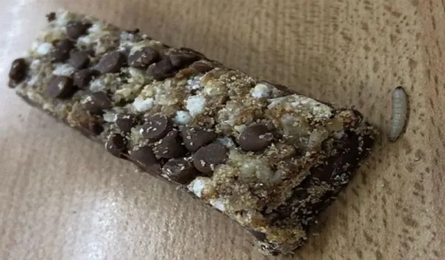 ସାବଧାନ! ଚକୋଲେଟ ଭିତରୁ ବାହାରୁଛି ପୋକ