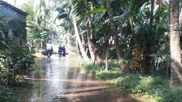 ନିଆଳି: କାକଟପୁର ବ୍ରାଞ୍ଚ କେନାଲର ବନ୍ଧ ଭାଙ୍ଗିଲା, ଗାଁରେ ପାଣି ପଶି କୃତ୍ରିମ ବନ୍ୟା ପରିସ୍ଥିତି