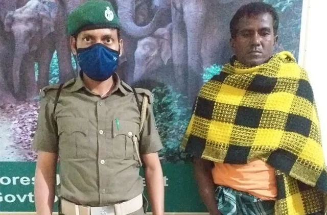 ବରାହ ମାଂସ ସହ ଜଣେ ଗିରଫ 