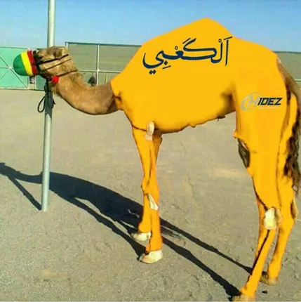 ଓଟ ପାଇଁ ପୋଷାକ