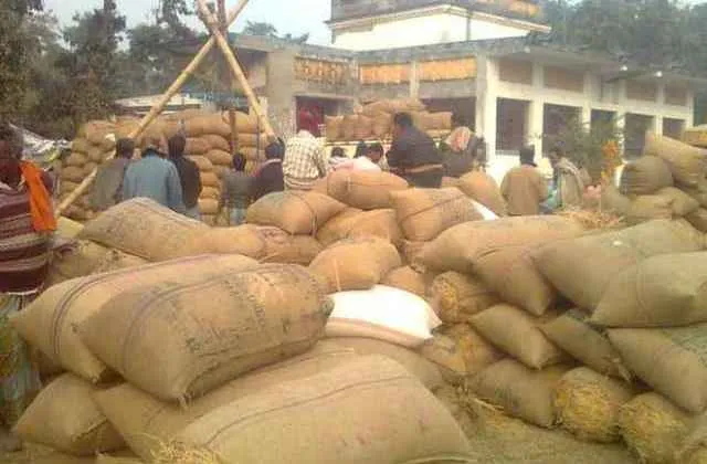 ଧାନ ଯନ୍ତ୍ରଣା : ଧାନ ବିକ୍ରି ଅପେକ୍ଷାରେ ହଜାର ହଜାର ଚାଷୀ