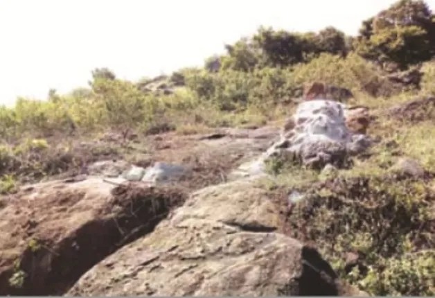 କୋଟିଆ ପରେ ସୁନାବେଡ଼ା ଉପରେ ଲୋଲୁପ ଦୃଷ୍ଟି : ଓଡ଼ିଶା ଭାଙ୍ଗିଲା, ପୁଣି ପୋତିଲା ଆନ୍ଧ୍ର