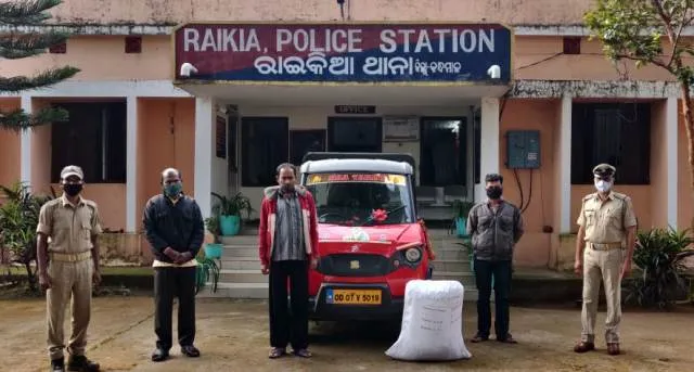 ରାଇକିଆ ଥାନା ଅଞ୍ଚଳରୁ ବିପୁଳ ପରିମାଣର ଗଞ୍ଜେଇ ଜବତ, ତିନି ଅଭିଯୁକ୍ତ ଗିରଫ