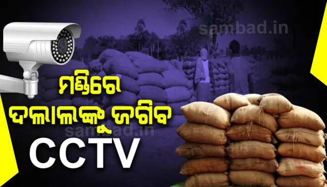 ମାଲକାନଗିରିରେ ଖରିଫ ମଣ୍ଡିର ଶୁଭାରମ୍ଭ, ପ୍ରଥମ ପର୍ଯ୍ୟାୟରେ ୭ ଲକ୍ଷ ୫୫ ହଜାର କ୍ୱିଣ୍ଟାଲ ଧାନ ଖରିଦ ହେବ