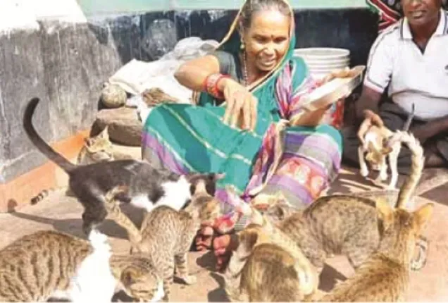 ୨୪ ବର୍ଷ ‌ହେଲା ବିଲେଇ ନାନୀଙ୍କ ମିତ ସଞ୍ଜୁ ନାନୀ