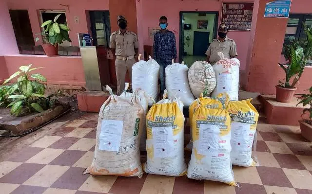 ସୁନାବେଡ଼ାରେ ୧୧ଲକ୍ଷ ଟଙ୍କାର ଗଞ୍ଜେଇ ଜବତ: ଜଣେ ଗିରଫ, ଦୁଇ ସହଯୋଗୀ ଫେରାର୍