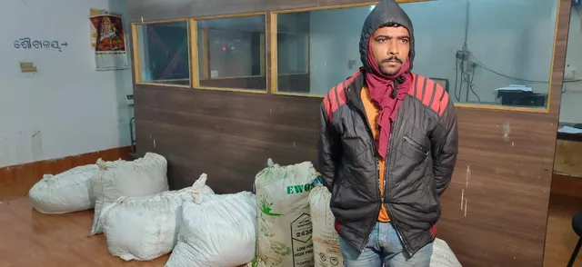 ଚୋରା ଚାଲାଣରେ ବ୍ୟବହୃତ ଟ୍ରକ ସହ ୨୪୯ କେଜି ଗଞ୍ଜେଇ ଜବତ, ଡ୍ରାଇଭର ଗିରଫ